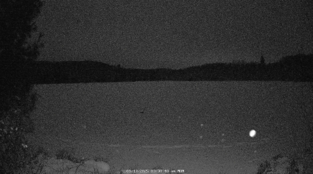 Image from 2025-01-13