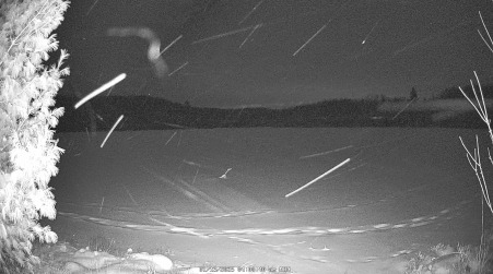 Image from 2025-01-13