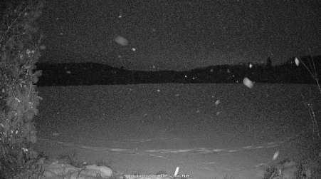 Image from 2025-01-13