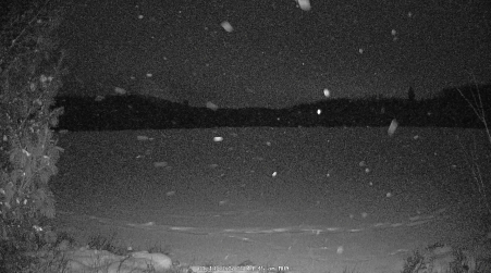 Image from 2025-01-13