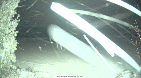 Image from 2025-01-13