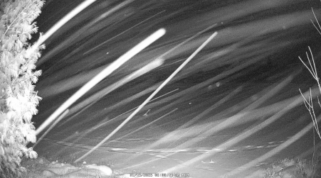Image from 2025-01-13