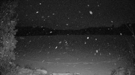 Image from 2025-01-13
