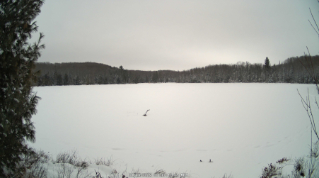 Image from 2025-01-13