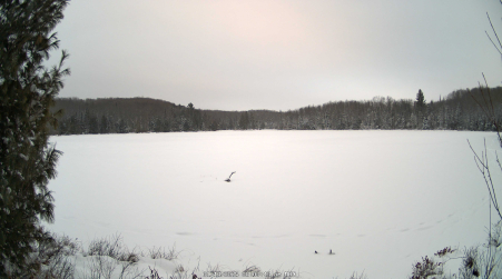 Image from 2025-01-13