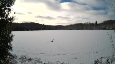 Image from 2025-01-13
