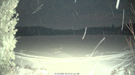 Image from 2025-01-13
