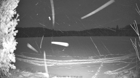Image from 2025-01-13