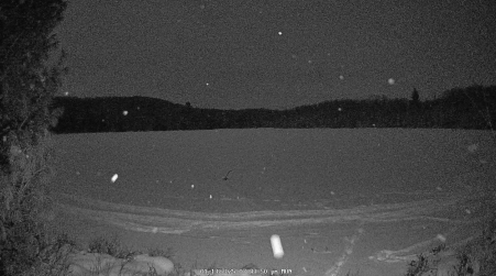 Image from 2025-01-13