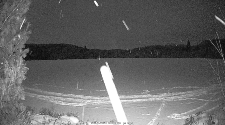 Image from 2025-01-13