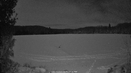 Image from 2025-01-13