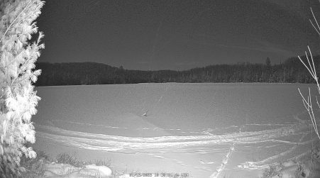 Image from 2025-01-13