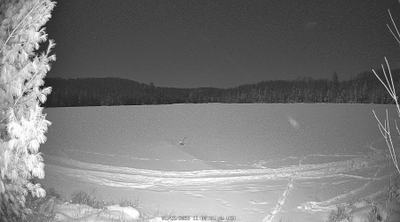 Image from 2025-01-13