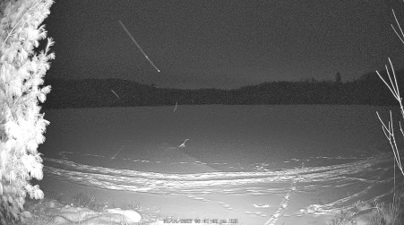 Image from 2025-01-14