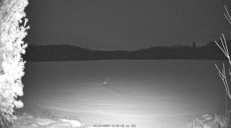 Image from 2025-01-17