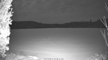Image from 2025-01-17