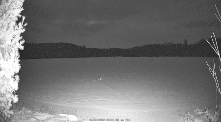 Image from 2025-01-17