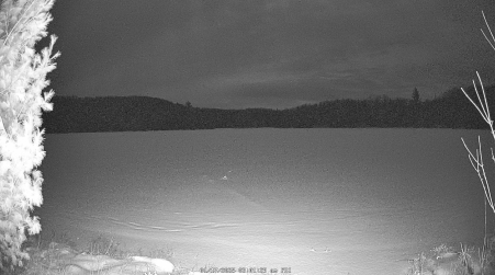 Image from 2025-01-17