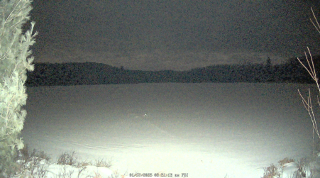 Image from 2025-01-17