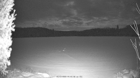 Image from 2025-01-17