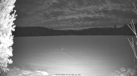 Image from 2025-01-17