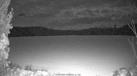 Image from 2025-01-17