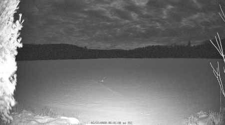 Image from 2025-01-17