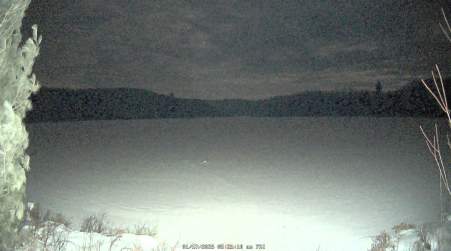 Image from 2025-01-17