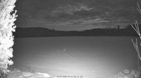 Image from 2025-01-17