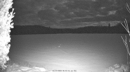 Image from 2025-01-17