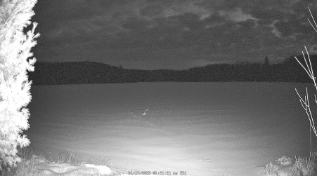 Image from 2025-01-17