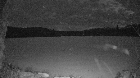 Image from 2025-01-17