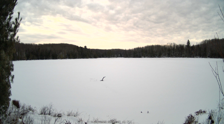 Image from 2025-01-17