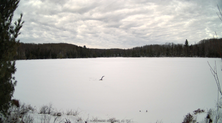 Image from 2025-01-17