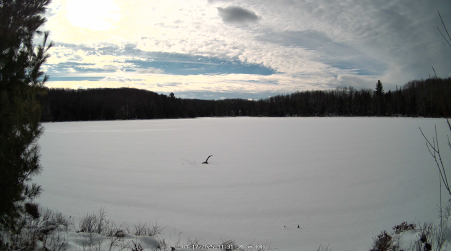 Image from 2025-01-17