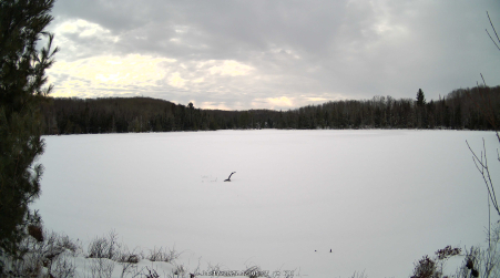 Image from 2025-01-17
