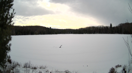 Image from 2025-01-17