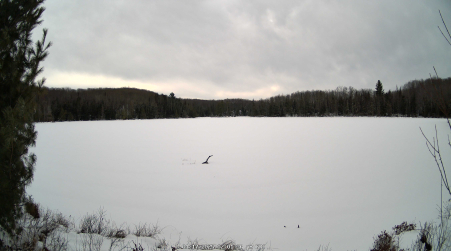 Image from 2025-01-17