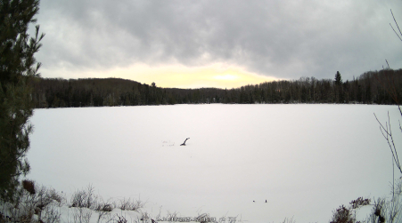 Image from 2025-01-17