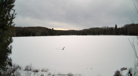 Image from 2025-01-17