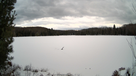 Image from 2025-01-17