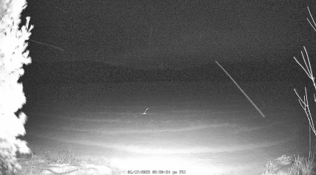 Image from 2025-01-17