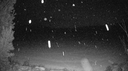 Image from 2025-01-17