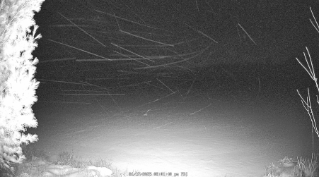 Image from 2025-01-17