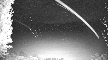 Image from 2025-01-17