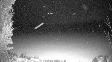 Image from 2025-01-17