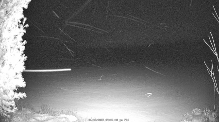 Image from 2025-01-17