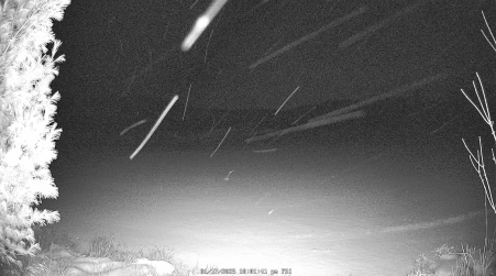Image from 2025-01-17
