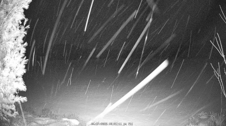 Image from 2025-01-17