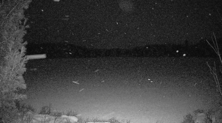 Image from 2025-01-17